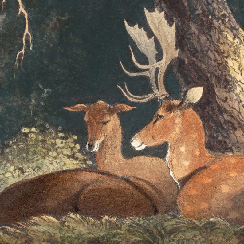 MAILED Giclée Print Antique Fallow Deer Illustration Painting