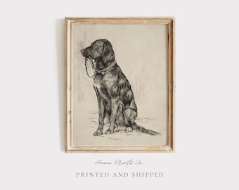 MAILED Giclée Print | Antique Labrador Drawing Reproduction | 19th Century Artwork | Vintage Dog Art | Cottage Farmhouse Aesthetic Decor