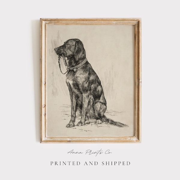 MAILED Giclée Print | Antique Labrador Drawing Reproduction | 19th Century Artwork | Vintage Dog Art | Cottage Farmhouse Aesthetic Decor