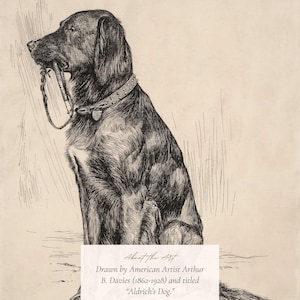 MAILED Giclée Print | Antique Labrador Drawing Reproduction | 19th Century Artwork | Vintage Dog Art | Cottage Farmhouse Aesthetic Decor image 4