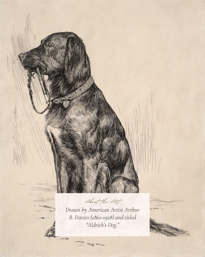 MAILED Giclée Print | Antique Labrador Drawing Reproduction | 19th Century Artwork | Vintage Dog Art | Cottage Farmhouse Aesthetic Decor image 4