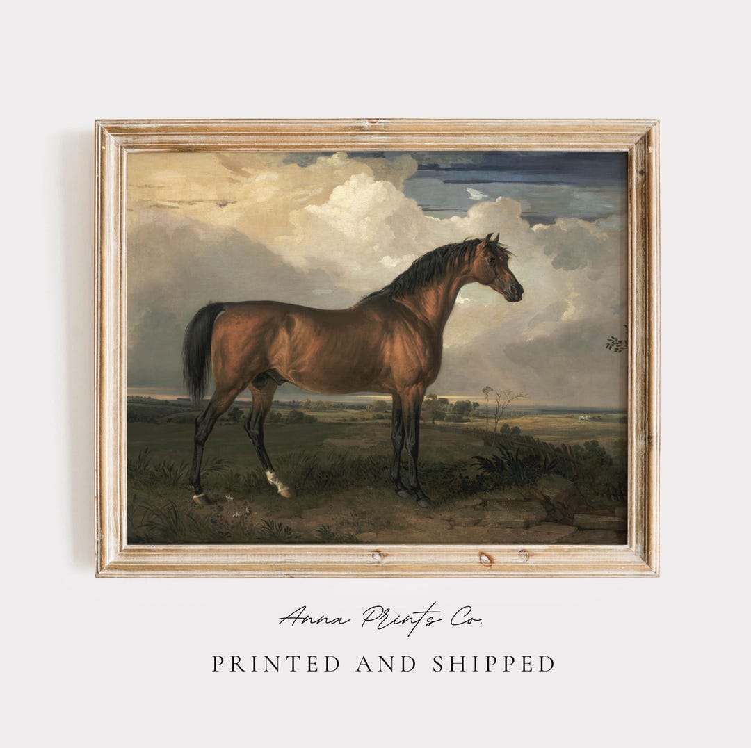 MAILED Giclée Print | Antique Horse Painting Reproduction | Vintage ...