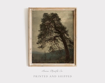 MAILED Giclée Print | Antique Old Tree Painting | Vintage Victorian Artwork Reproduction | Moody Landscape | Neutral Tone Farmhouse Decor