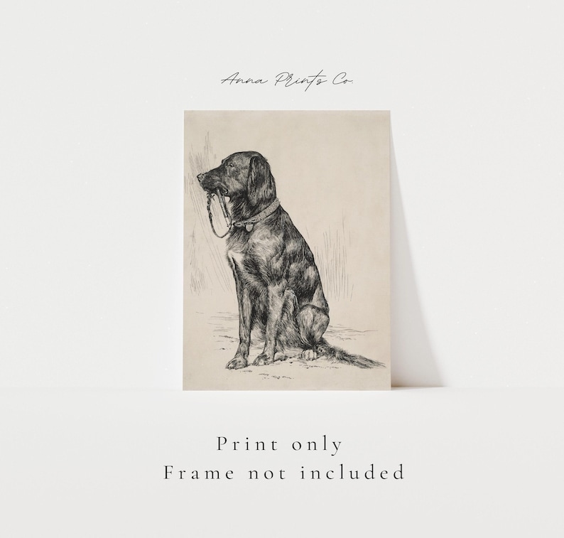 MAILED Giclée Print | Antique Labrador Drawing Reproduction | 19th Century Artwork | Vintage Dog Art | Cottage Farmhouse Aesthetic Decor image 2