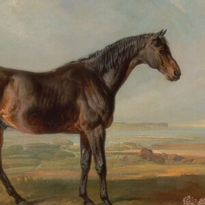 MAILED Giclée Print | Vintage Bay Horse Painting | Antique Equestrian ...