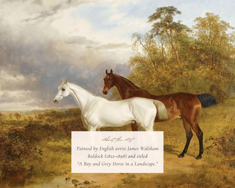 MAILED Giclée Print | A Bay and Grey Horse in a Landscape Vintage ...