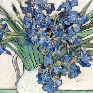 MAILED Giclée Print | Vincent Van Gogh Irises Painting | Vintage Impressionist Artwork | Antique Flower Wall Art | Cottage Farmhouse Decor image 5