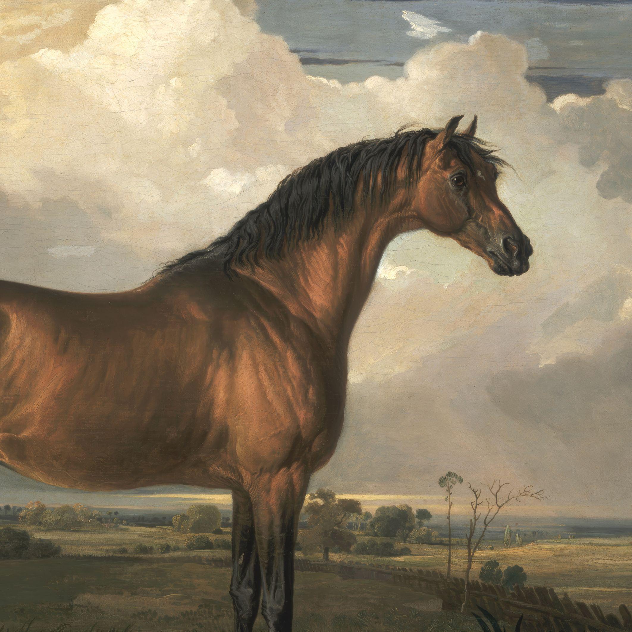 MAILED Giclée Print | Antique Horse Painting Reproduction | Vintage ...