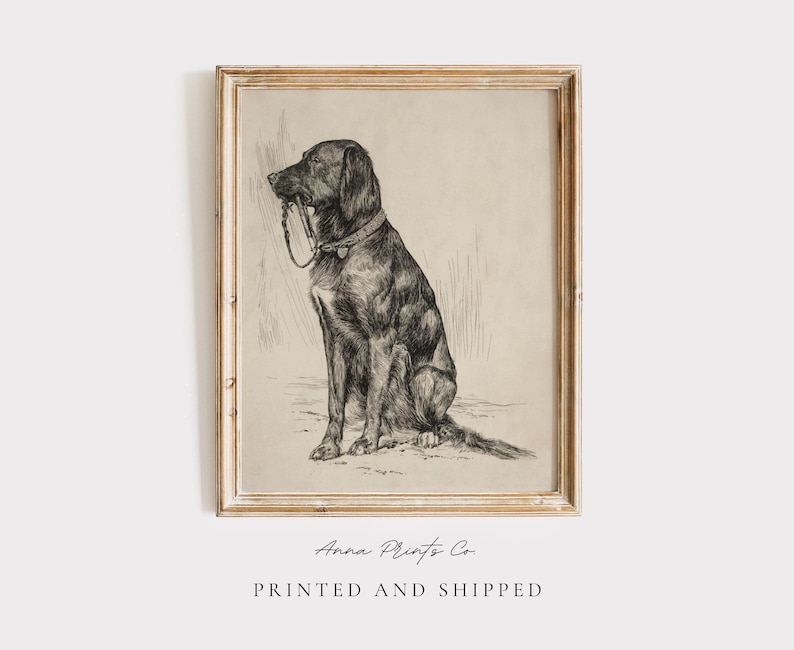 MAILED Giclée Print | Antique Labrador Drawing Reproduction | 19th Century Artwork | Vintage Dog Art | Cottage Farmhouse Aesthetic Decor image 1