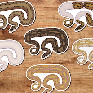 May include: A collection of six snake stickers with various patterns and colors, including brown, tan, and white. The stickers are arranged on a wooden surface, showcasing the detailed designs of the reptiles.