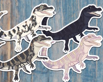 Baby Alligator Vinyl Stickers - 4 Different Morphs - Wild, Albino, Piebald, Melanistic