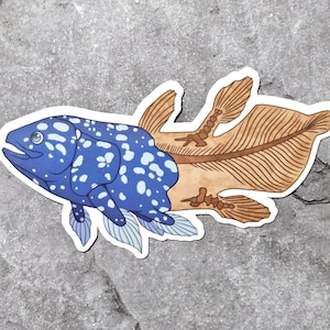 Coelacanth Vinyl Sticker - Paleontology Sticker - Living Fossil