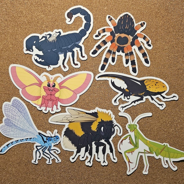 Insect Vinyl Stickers - Cute Bug Stickers - Arachnid Stickers