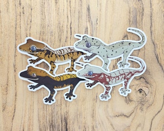 Könnte beinhalten: Vier Gecko-Aufkleber mit verschiedenen Farbmustern. Die Geckos sind in verschiedenen Posen, einige nach vorne und andere seitwärts gerichtet. Die Aufkleber sind auf weißem Papier gedruckt und haben eine glänzende Oberfläche.