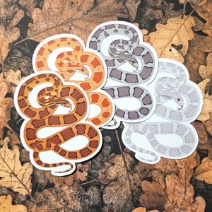 May include: Three snake stickers with different color patterns. The stickers are on a background of brown and orange leaves. The snakes are curled up in a circle.