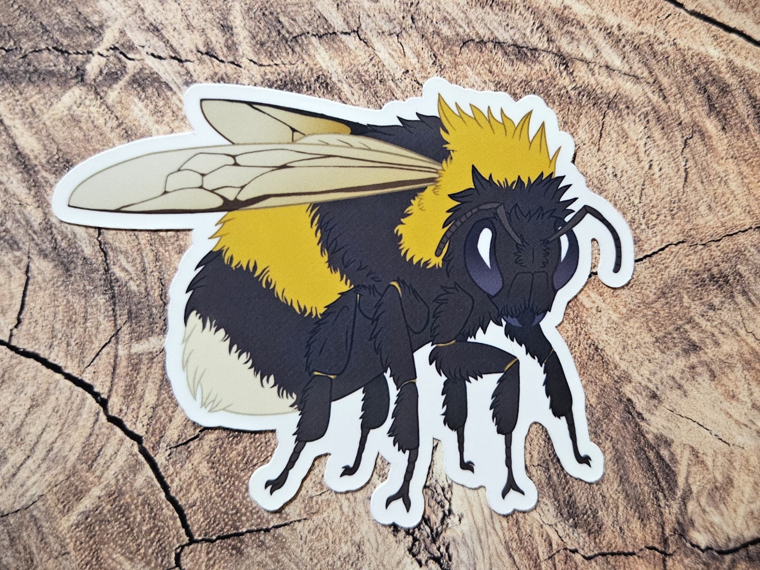 Insect Vinyl Stickers - Cute Bug Stickers - Arachnid Stickers - Etsy
