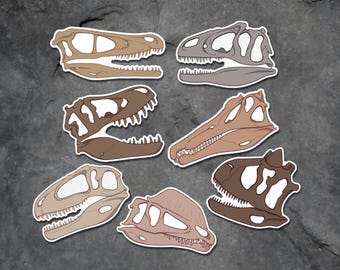 Dinosaur Skulls Vinyl Sticker Pack - Paleontology Stickers - Spinosaurus - Velociraptor - Giganotosaurus - Allosaurus - Dilophosaurus