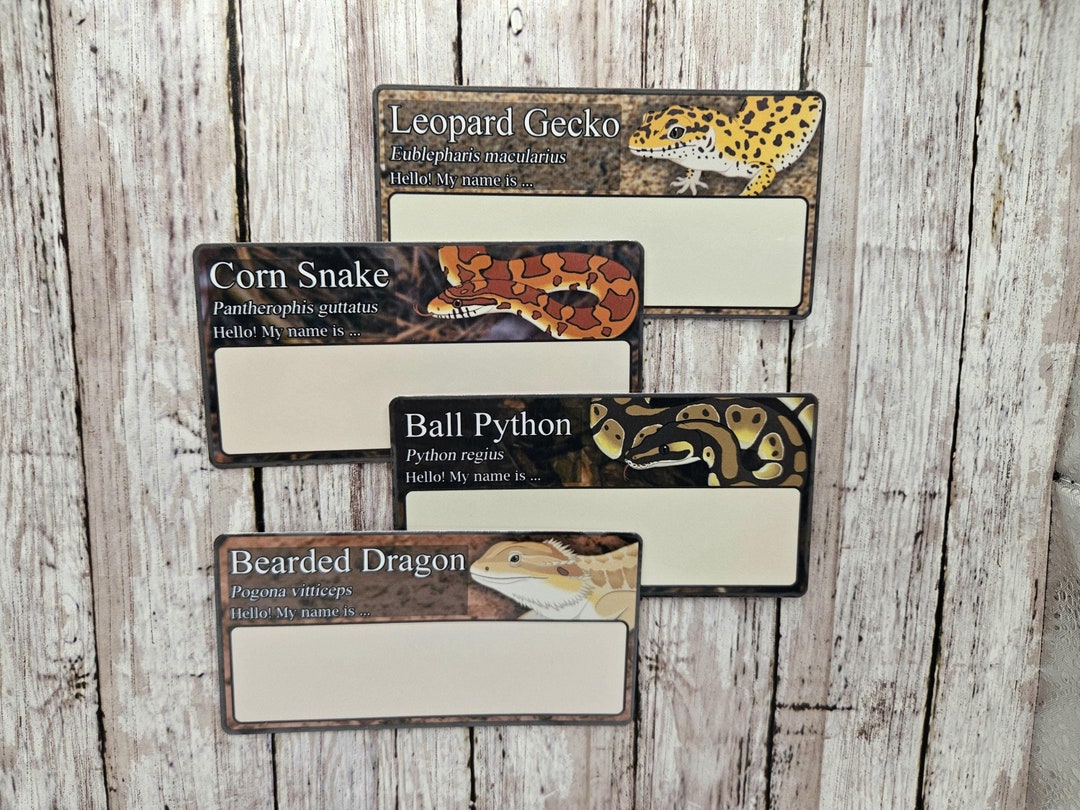 Blank Reptile Name Tag Vinyl Stickers - Reptile Enclosure Label ...