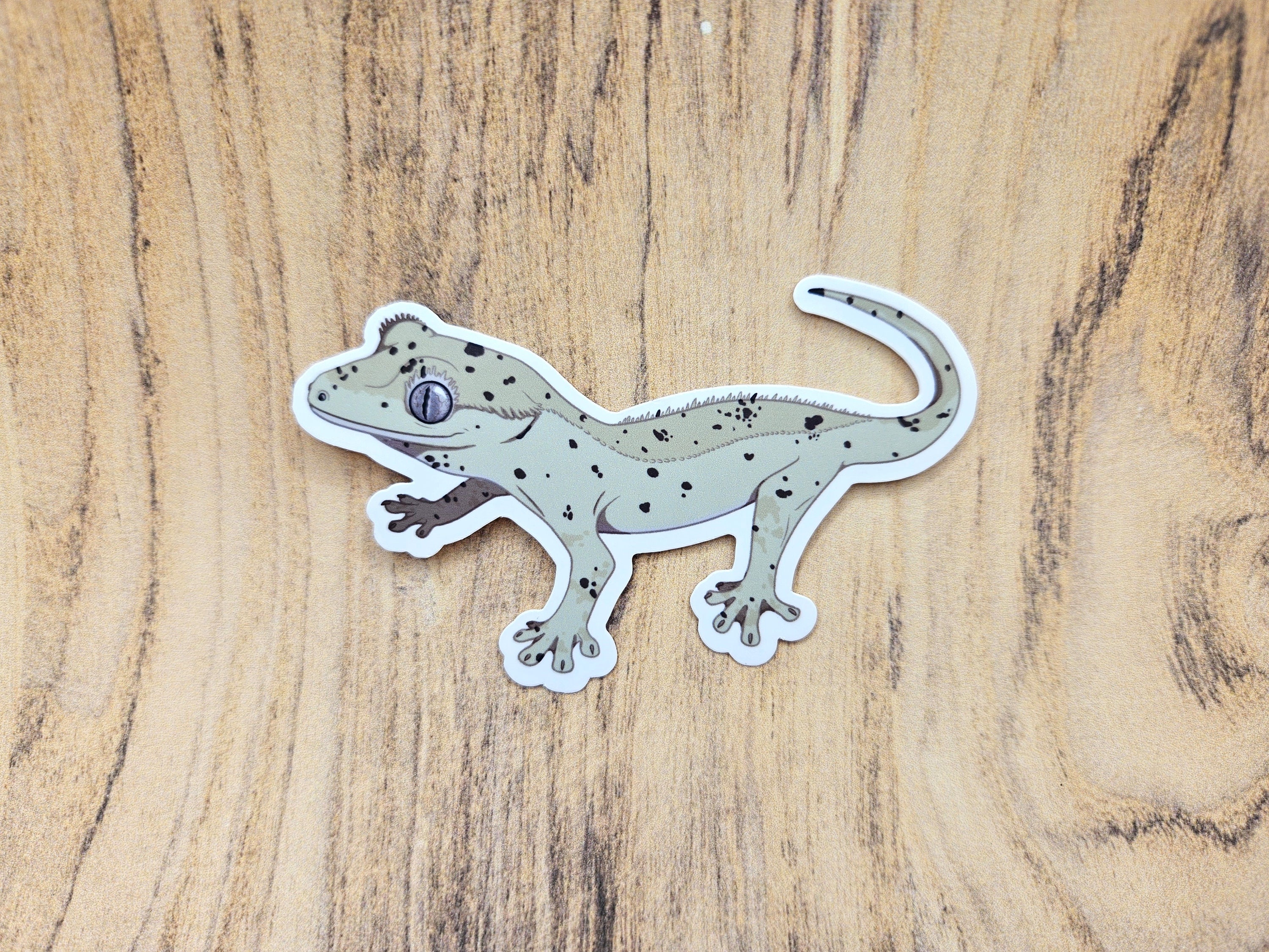 Crested Gecko Car Decals Pack Of 2 – Realistic Animal Stickers, 10x10 Inch, Waterproof & UV Resistant