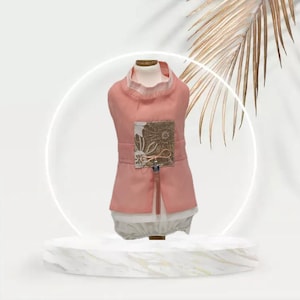Hanbok tradicional coreano para seu cão/gato macho (animal de estimação) - Calças rosa e brancas