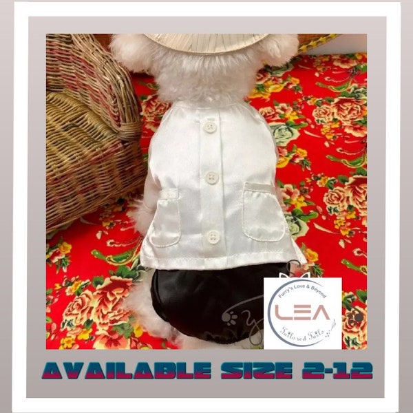 Traditional Vietnamese Ao Ba Ba Dresses or Ao Dai for Your Male Dog/Cat (Pet)