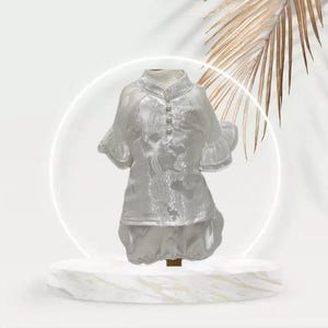 Vestidos tradicionais vietnamitas ou Ao Dai para sua cadela/gata (animal de estimação) - Calças brancas e brancas