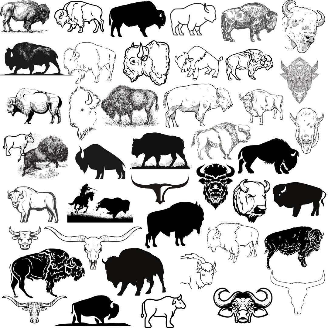 BISON SVG Bison Svg Bundle Bison Cut Files For Cricut Bison Clipart bison-svg-bison-svg-bundle-bison-cut-files-for-cricut-bison-clipart