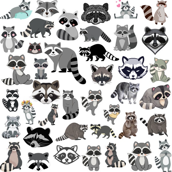 Raccoon SVG Bundle, Raccon Cricut , Raccoon Clipart, Raccoon Cut Files , Raccoon Face Svg, Forest Animal Svg
