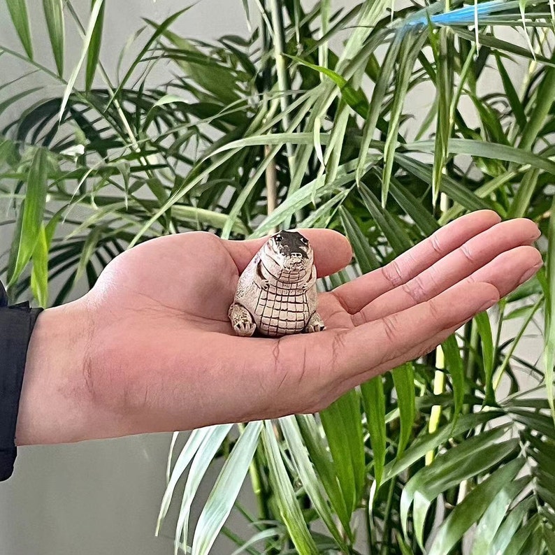 Cute Crocodile Figurine Tea Pets Handmade Tea Pet Crocodile Ornaments Decoration for Home Indoor