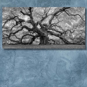 Black and White Tree Poster,Old Angel Oak Tree Ready To Hang Canvas, Oak Tree Wall Art, Oak Tree Canvas & South Carolina Canvas Print Art