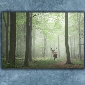 The Wild Deer Poster Print Animal Wall Decor,Foggy Forest Tree print,Stag canvas wall art,Deer wall art decor,Wildlife print,Gift For Hunter
