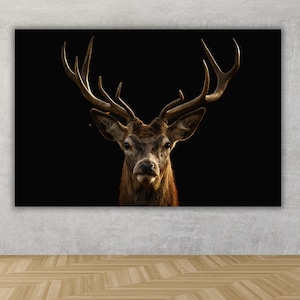 Deer Portrait with Black background,Deer Stag Head Black Canvas Wall Art Pop Poster Home Decor Painting,Deer canvas