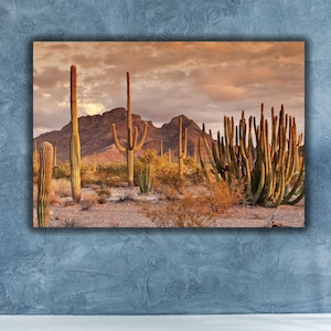 Südwest Wüste Leinwand Kunst,Kaktus Leinwand Wandkunst,Wüstenkaktus Poster Kunstdruck,südwestlichen Dekor,mexikanischen Kunstdruck,Sukkulenten Wandkunst