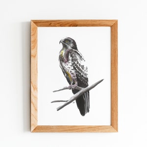 Bird Of Prey, Eagle Original Painting, Animal Wall Art, Bird Painting, hawk Painting, Water Color Eagle Painting, Israeli Artist
