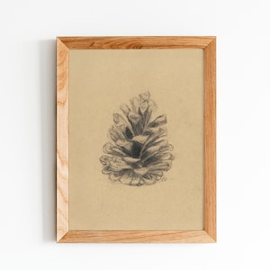 Pine Cone Pencil Drawing ,Original Painting, Woodland Wall Art, Pine Cone Painting, Fine Art Print