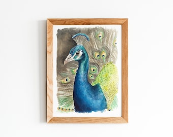 Peacock Bird Print ,Original Painting, Animal Wall Art, Bird Painting, Peacock Fine Art Print