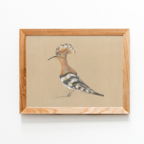 Hoopoe Bird, Bird In Tree Print ,Original Painting, Animal Wall Art, Bird Painting, Fine Art Print