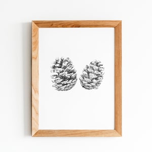 Pine Cone Pen Sketch ,Original Painting print, Woodland Wall Art, Couple Pine Cone Painting, Fine Art Print, ink sketch, Watercolor painting