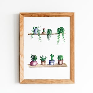 2 Succulents Shelves Original Painting, Cactus Wall Art, House Plant illustration, Kitchen Wall Art, Water color hand made painting