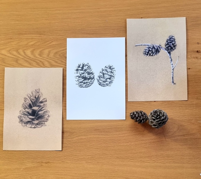 Pine Cone Pencil Drawing ,original Painting, Woodland Wall Art, Pine