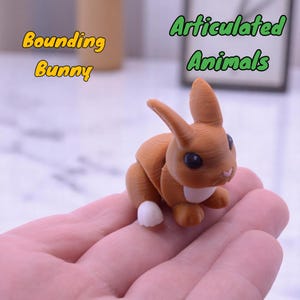 Bounding Bunny | Articulated Desk Pet | Fidget Animal Gift | 3D Printed | Aussie Made | Risky Rabbit | Wiggle Fidget