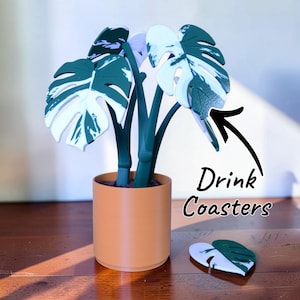 Pode incluir: Um conjunto de bases para copos em forma de folha de monstera. As bases são brancas com detalhes verdes e estão dispostas num pequeno vaso laranja. O texto "Drink Coasters" está escrito em preto.