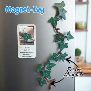 May include: A collection of green ivy leaf fridge magnets and a magnet with the text "Magnet-Ivy". The magnets are attached to a silver refrigerator. The ivy magnets have white vein details.