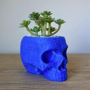 Sugar Skull Planter | 3D Printed Colourful Succulent Pot | Day of the Dead Indoor Decor | Quirky Skull Plant Pot | Aussie Made