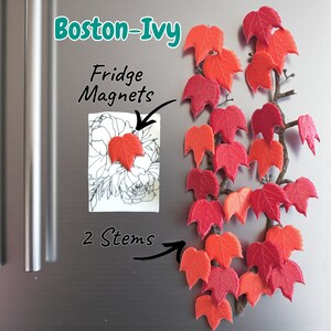 Może przedstawiać: Magnesy na lodówkę Boston-Ivy. Obraz przedstawia kolekcję czerwonych i pomarańczowych magnesów w kształcie liści, niektóre przymocowane do brązowej winorośli. Jeden magnes znajduje się na białym tle kwiatowym. Widoczny jest również tekst "Fridge Magnets" i "2 Stems".