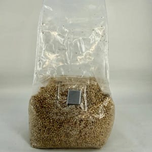 Pre-Sterilised Mushroom Grain Spawn Bags