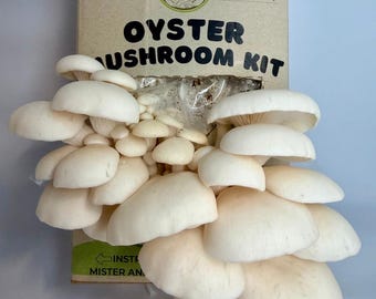 Snow White Oyster Mushroom Kit | Harvest In Two Weeks | Grow At Home | Harvest And Eat In Two Weeks