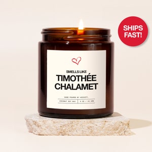 Smells Like Timothee Chalamet Candle, Timothee Chalamet Fan Gift, Funny Celebrity Candle, Pop Culture Gifts, Gag Gift for Bestie