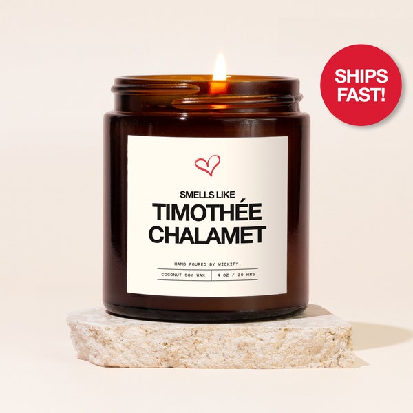 Smells Like Timothee Chalamet Candle, Timothee Chalamet Fan Gift, Funny Celebrity Candle, Pop Culture Gifts, Gag Gift for Bestie