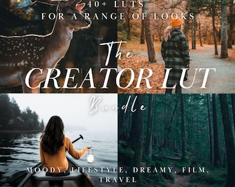 40+ Creator LUTs Bundle: Moody, Lifestyle, Dreamy, Film Desktop Video Editing Filters (.cube Files)